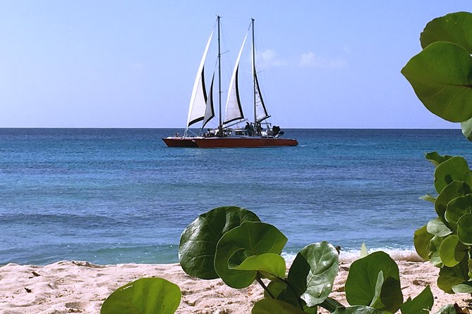 Barbados Catamaran Turtle and Shipwreck Snorkeling Cruise - Practical tips for a smoother day