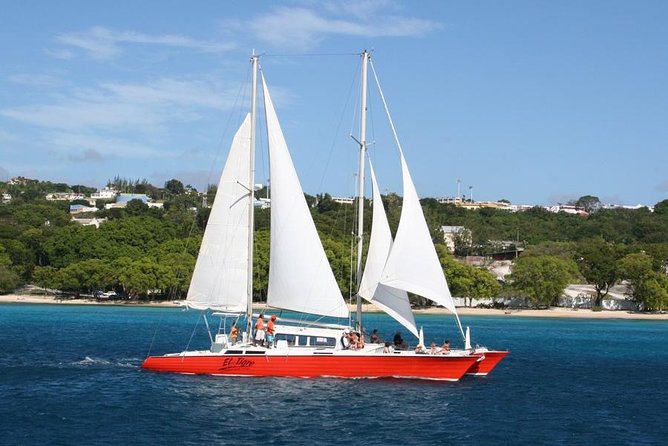Barbados Catamaran Turtle and Shipwreck Snorkeling Cruise - The first 45-minute stop: turtles and coral