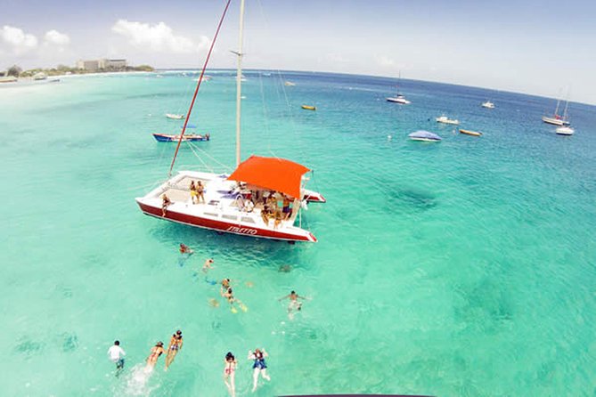 Barbados Catamaran Turtle Snorkel with Lunch and Open Bar - What the $110 price really covers
