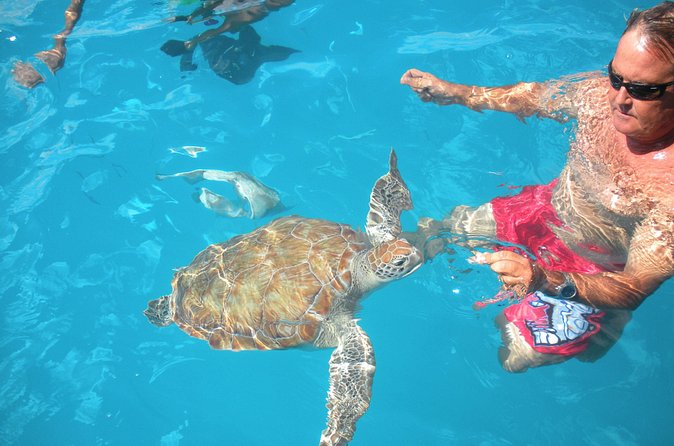 Barbados Catamaran Turtle Snorkel with Lunch and Open Bar - The crew makes the difference