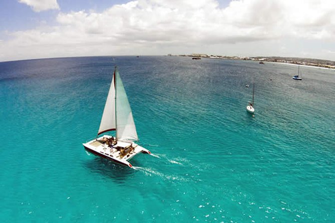 Barbados Catamaran Turtle Snorkel with Lunch and Open Bar - Who will enjoy this Barbados cruise most