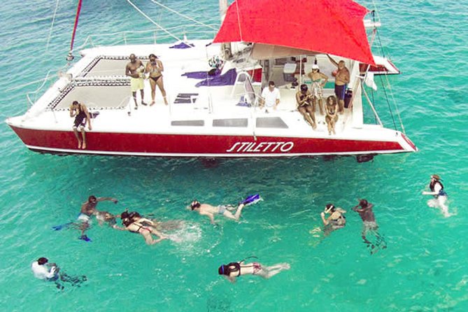 Barbados Catamaran Turtle Snorkel with Lunch and Open Bar - Carlisle Bay brings turtles, wrecks, and easy water time