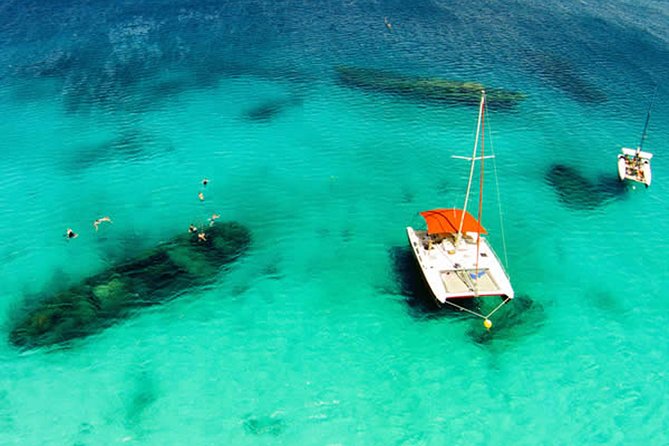 Barbados Catamaran Turtle Snorkel with Open Bar - Shipwrecks, fish, and a changeable second stop