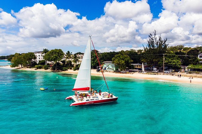 Barbados Catamaran Turtle Snorkel with Open Bar - Who will get the most from the $85 price
