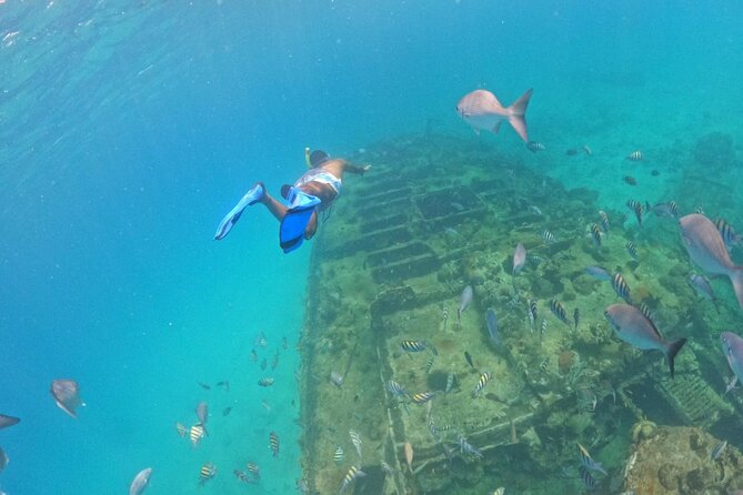 Barbados Glass Bottom Boat Cruise and Snorkeling - What This Carlisle Bay Boat Trip Is Really Like