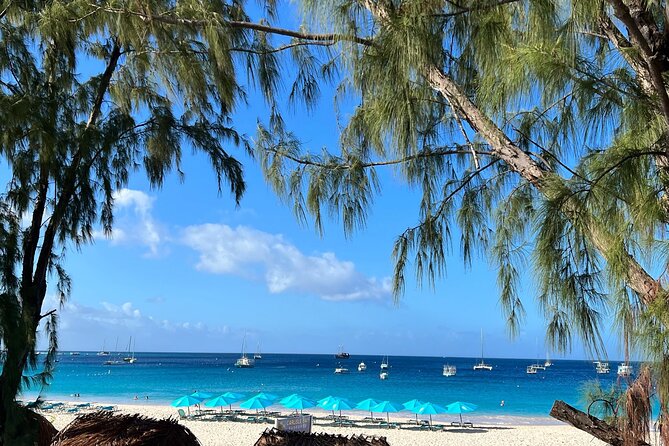 Barbados Shore Excursion Snorkel cruise and Beach Day - Is $58 a fair price?