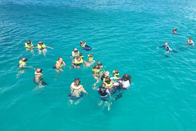Barbados Turtle and Shipwreck Snorkel Adventure - Key points to know before you book
