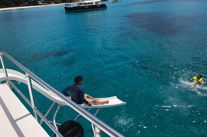 Barbados Turtle and Shipwreck Snorkel Adventure - What non-snorkelers can do