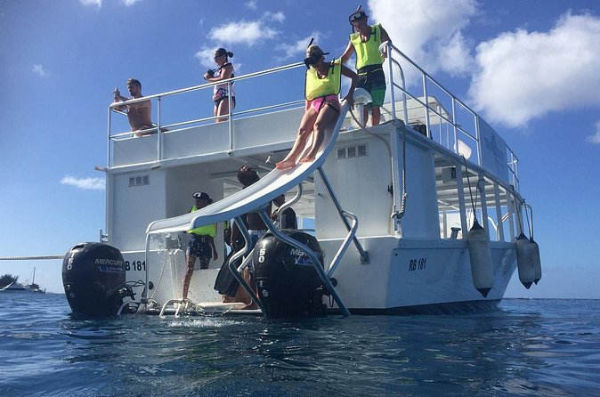 Barbados Turtle and Shipwreck Snorkel Adventure - Who should book this Barbados snorkel trip?