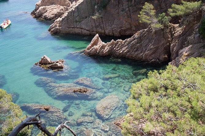 Barcelona: Costa Brava Easy Hike, Snorkel, Cliff-Jump & Meal - Starting beside a quiet golden cove