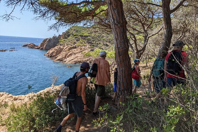 Barcelona: Costa Brava Easy Hike, Snorkel, Cliff-Jump & Meal - Sa Conca, Sant Pol, and the changing shoreline