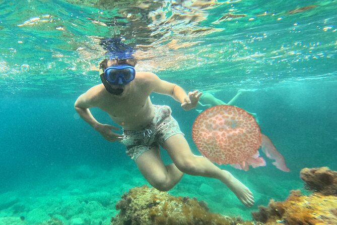 Barcelona Wild Experience: Kayak and Snorkel in Costa Brava - Getting ready with a short kayaking lesson