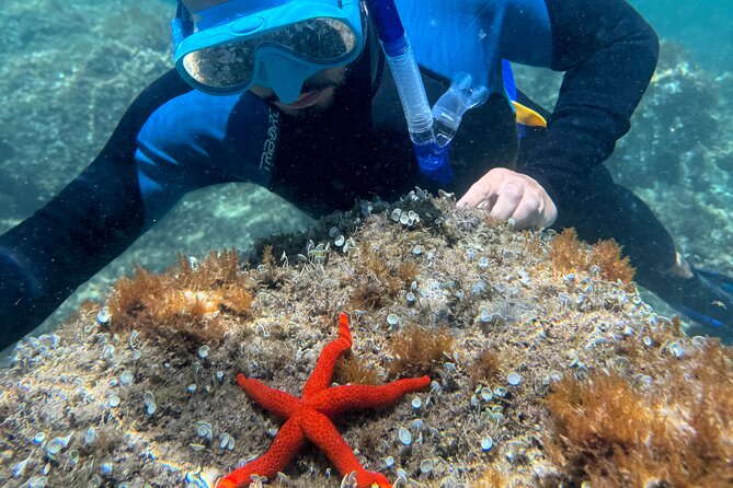Barcelona Wild Experience: Kayak and Snorkel in Costa Brava - Leisure time before returning to Barcelona