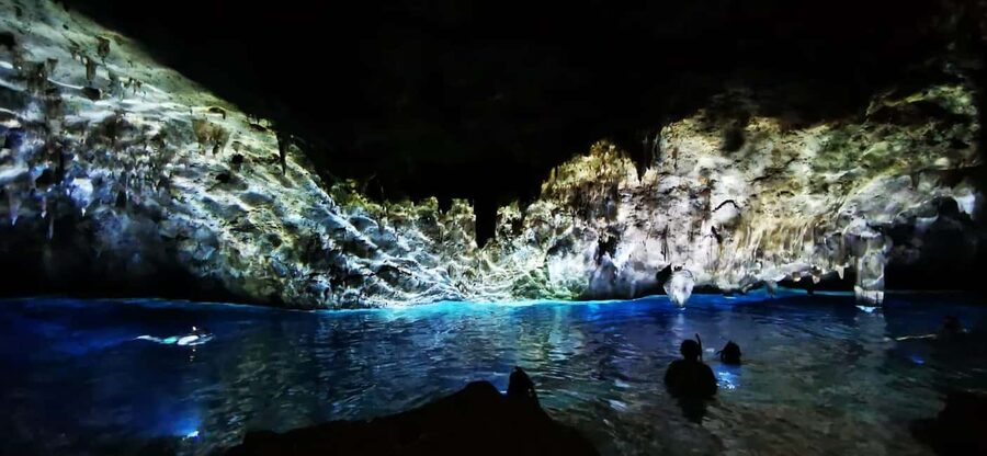 Bayahibe: National Park Jungle Walk & Snorkeling in Cenotes - What this Bayahibe cenote trip is really like