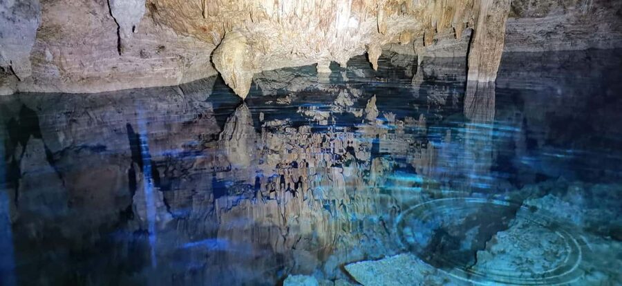 Bayahibe: National Park Jungle Walk & Snorkeling in Cenotes - Walking through Cotubanama National Park