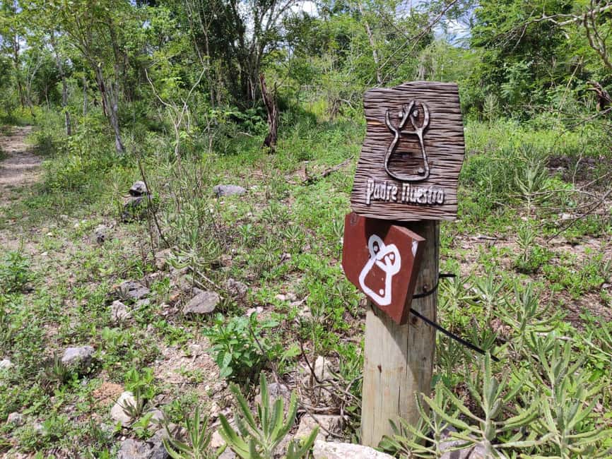 Bayahibe: National Park Jungle Walk & Snorkeling in Cenotes - Snorkeling in 25°C spring water