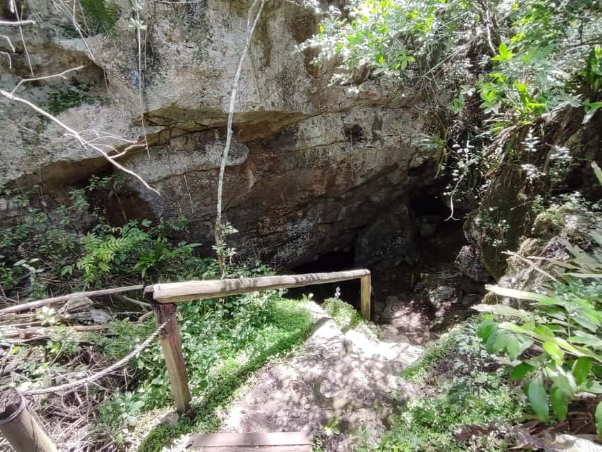 Bayahibe: National Park Jungle Walk & Snorkeling in Cenotes - The return walk and aperitif with the guides
