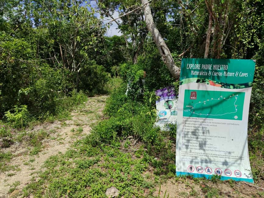 Bayahibe: National Park Jungle Walk & Snorkeling in Cenotes - How the $55 price measures up
