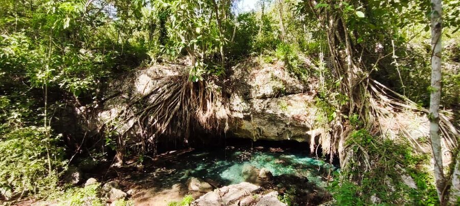 Bayahibe: National Park Jungle Walk & Snorkeling in Cenotes - Who should book this experience?