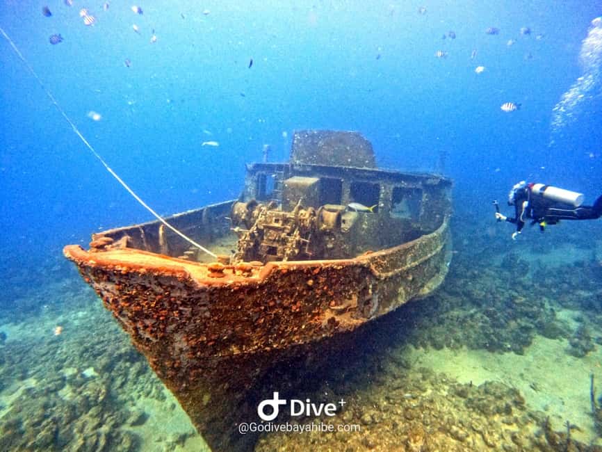 Bayahibe: Snorkeling Tour - Sea, Cotubanama park & Cenotes - Key details at a glance