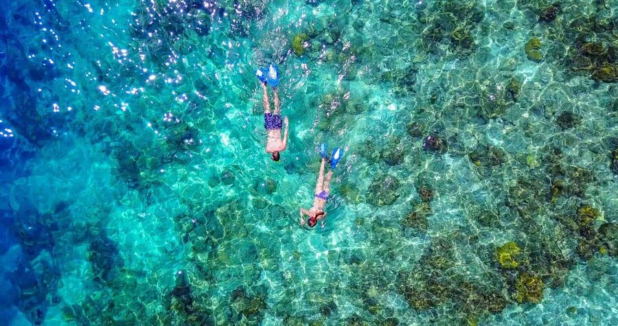 Bayahibe: Snorkeling Tour - Sea, Cotubanama park & Cenotes - Morning snorkeling over reefs and a shipwreck