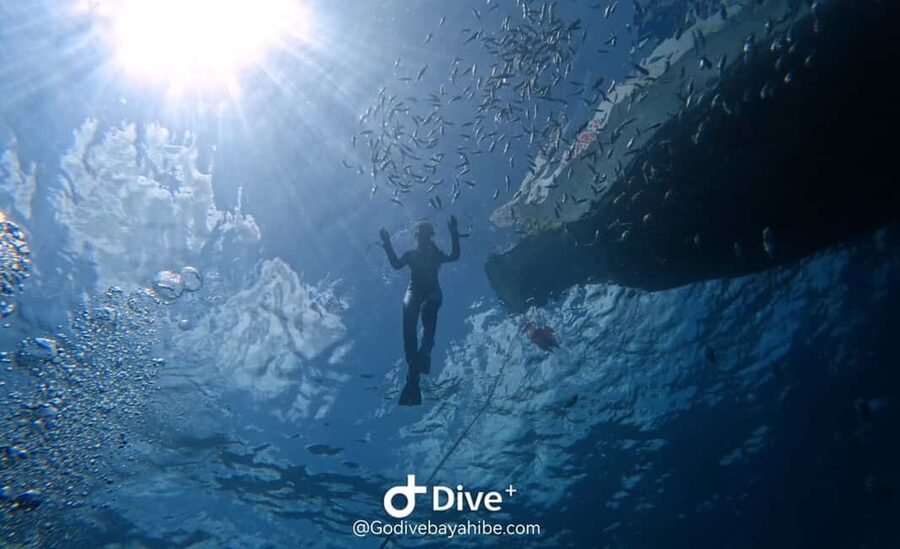 Bayahibe: Snorkeling Tour - Sea, Cotubanama park & Cenotes - Swimming beneath the cave at Cenotes Chicho