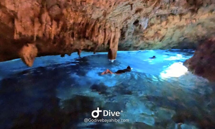 Bayahibe: Snorkeling Tour - Sea, Cotubanama park & Cenotes - What the $119 price really covers