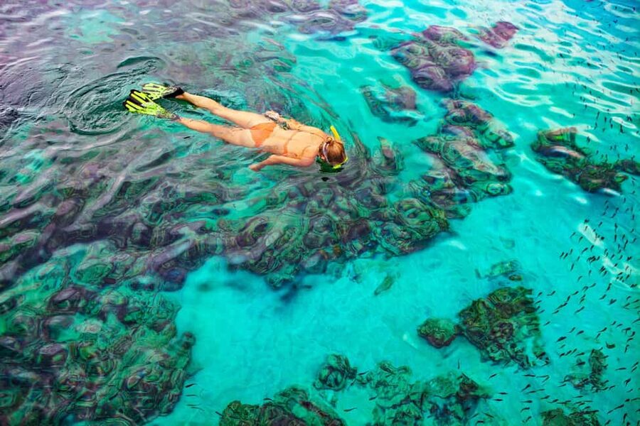 Bayahibe: Snorkeling Tour - Sea, Cotubanama park & Cenotes - Meeting Go Dive Bayahibe and getting started