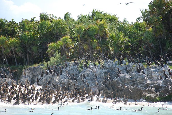 Beach Escape: Isla Contoy and Isla Mujeres with Snorkeling. - The boat ride, crew, and group atmosphere