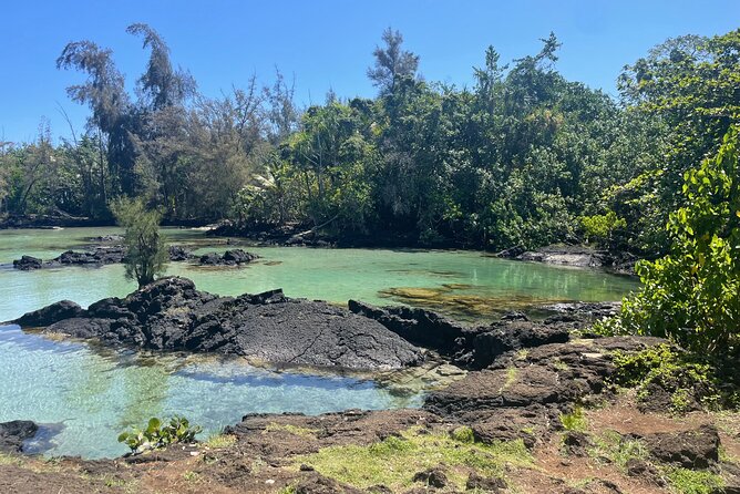 Beach Snorkel - Sea Turtle and Black Sand Lagoon - What the guide adds beyond a rental mask