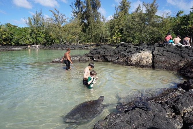 Beach Snorkel - Sea Turtle and Black Sand Lagoon - Is $153.85 fair for this Hilo experience?