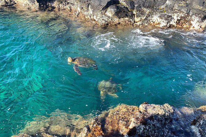 Beach Snorkel - Sea Turtle and Black Sand Lagoon - First stop: a black-sand shore with volcanic character