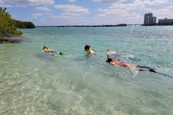 Beginner Friendly Island Snorkeling - Quick take: what makes this Miami outing different