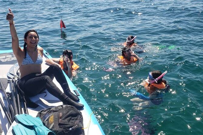 Beginner Friendly Island Snorkeling - Starting at 10800 Collins Avenue
