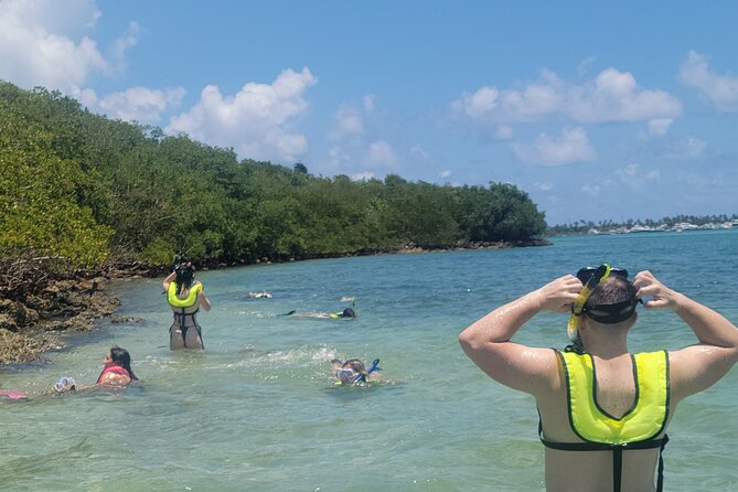 Beginner Friendly Island Snorkeling - Who will enjoy this experience most