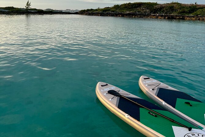 Bermuda Private Catamaran:Snorkeling, Shipwrecks & Cliff Jumping - Paddleboarding and swimming in clear water