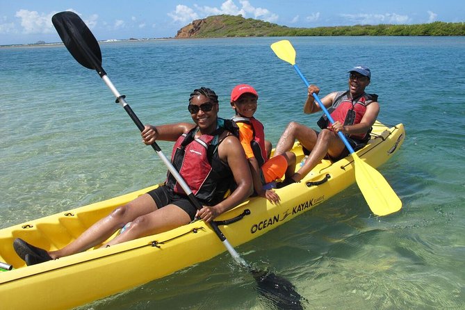 Best of Mangrove Lagoon Kayak, Hike and Snorkel Adventure with Picnic Lunch - What makes this St. Thomas eco-adventure special