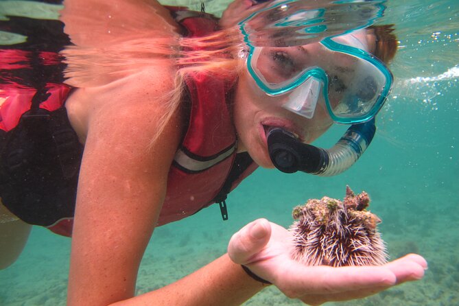 Best of Mangrove Lagoon Kayak, Hike and Snorkel Adventure with Picnic Lunch - Who should book this five-hour adventure?