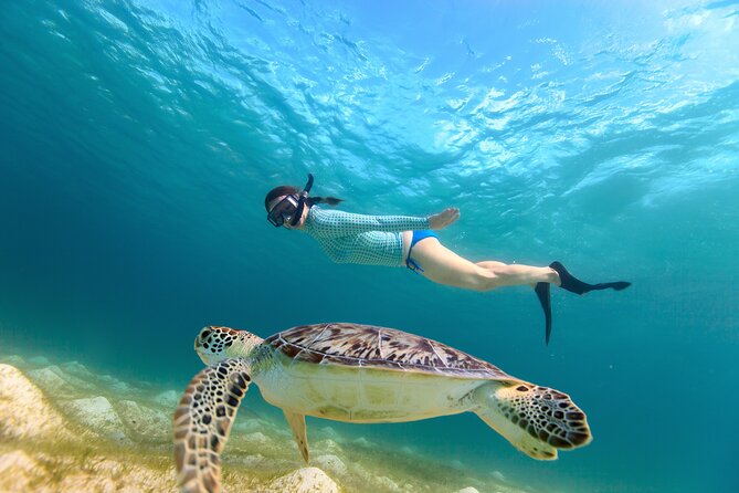 Best of Mangrove Lagoon Kayak, Hike and Snorkel Adventure with Picnic Lunch - Cas Cay, volcanic rock, and the blowhole walk