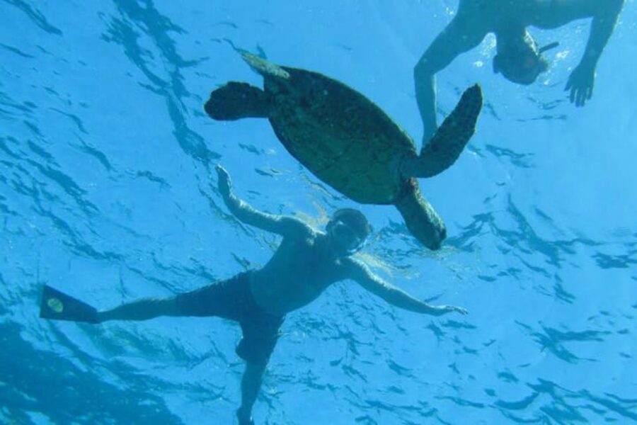 Big Island: Captain Cook Sightseeing & Snorkel Expedition - Sea caves, coves, and volcanic edges