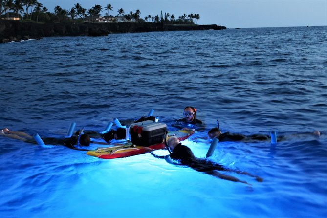 Big Island: Kona Manta Ray Snorkel Tour in Keauhou Harbor - Floating beside the light board