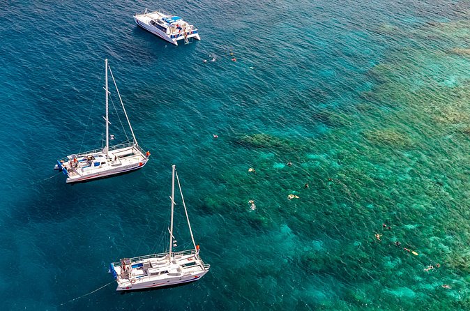 Big Island Snorkel Cruise from Waikoloa - What the snorkeling stop is really like