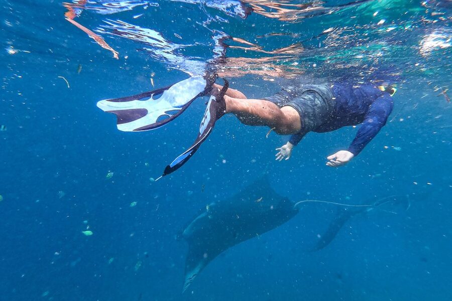 Big Island: Snorkel with Manta Rays - Manta Guarantee - Booking and cancellation details