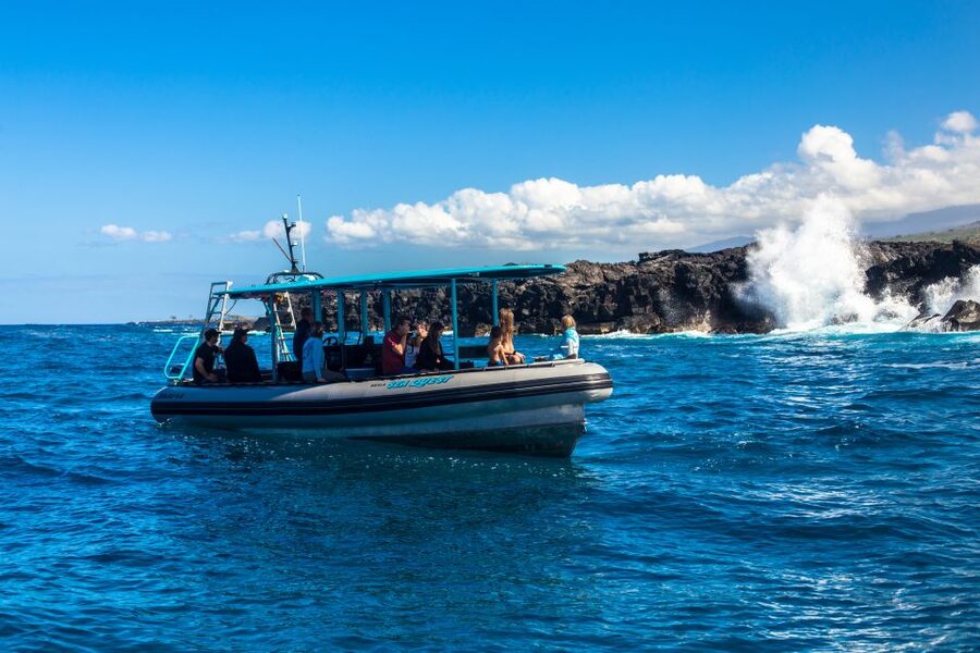 Big Island: South Kona Snorkeling and Coastline Exploration - Marine life you might see