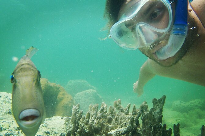 Biologist Owned & Operated: Dolphin Watching & Guided Snorkeling - Snacks, water, and the eco-minded setup