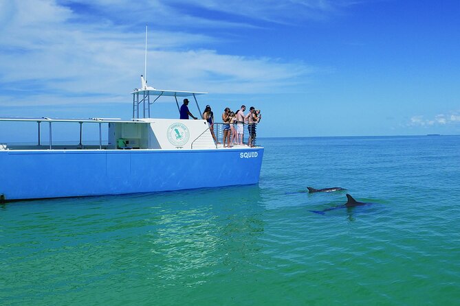 Biologist Owned & Operated: Dolphin Watching & Guided Snorkeling - Booking, cancellations, and practical details