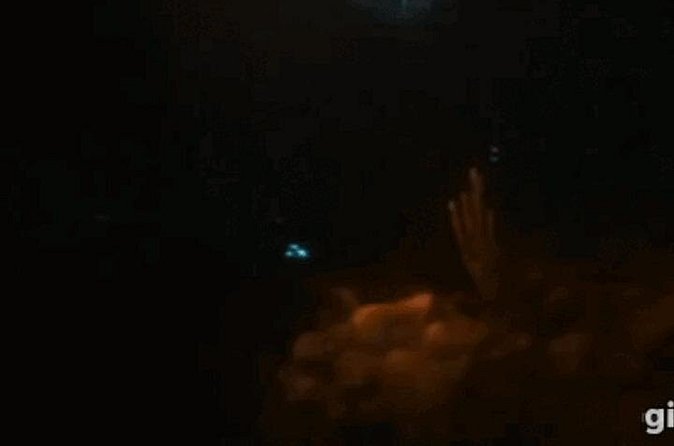 Bioluminescent Night Snorkeling - Why a small group of eight matters after sunset