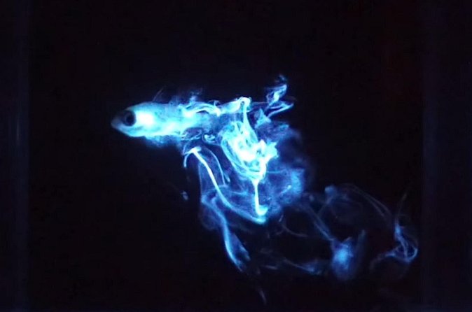 Bioluminescent Night Snorkeling - Jellyfish are the main safety consideration