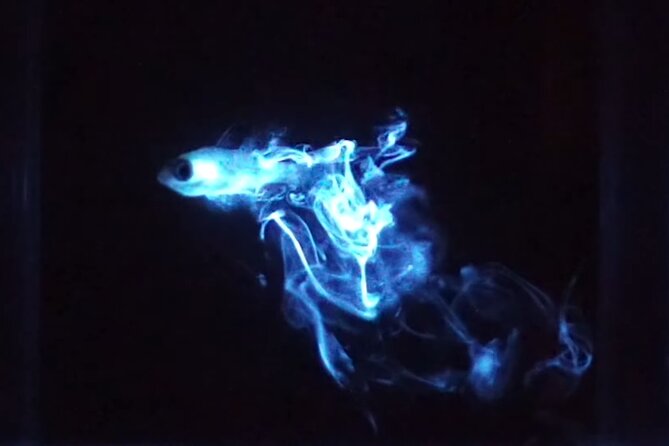 Bioluminescent Night Snorkeling - The experience finishes with questions and explanations