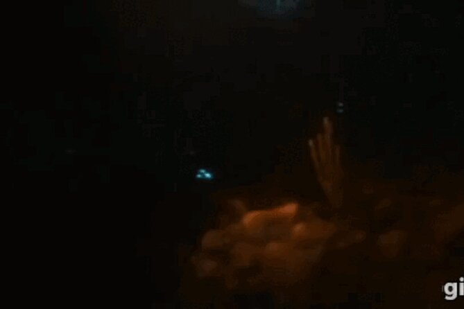 Bioluminescent Night Snorkeling - The first briefing explains what you are looking for